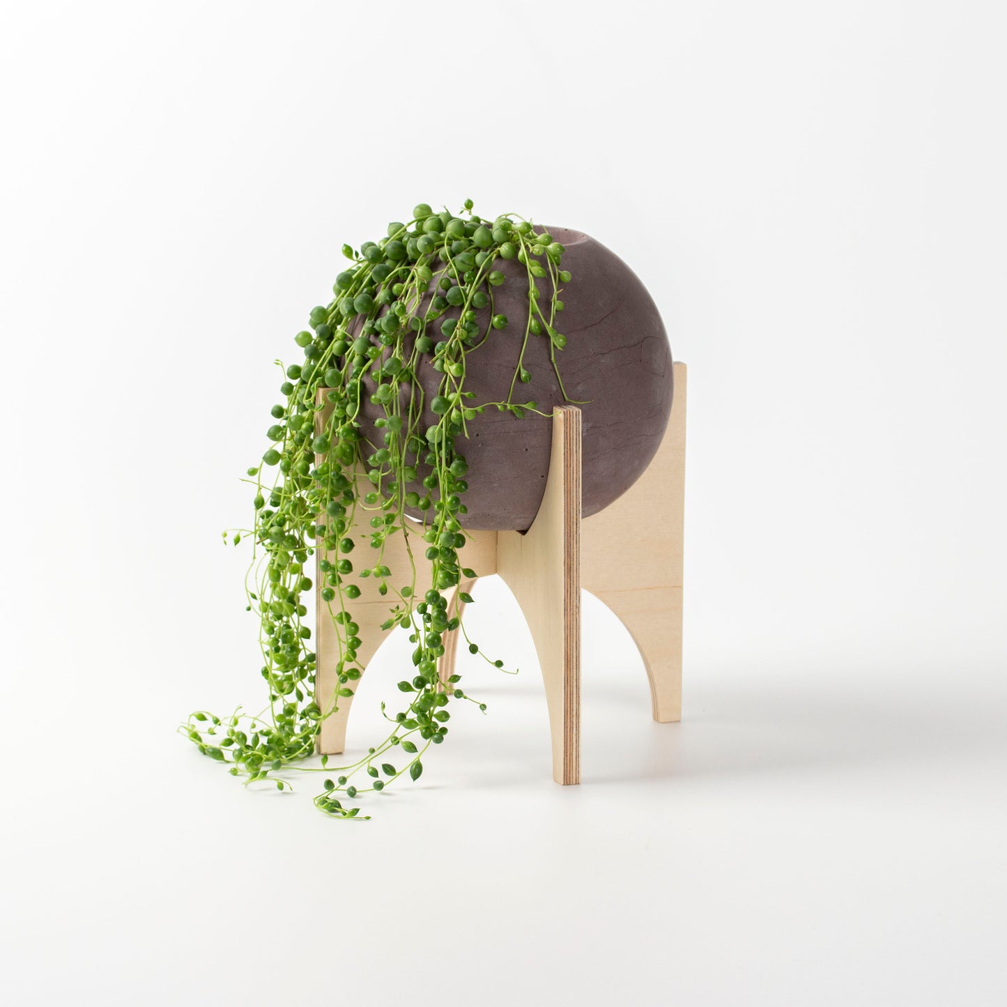 Round Concrete Planter with Wooden Stand, Modern Plant Pot