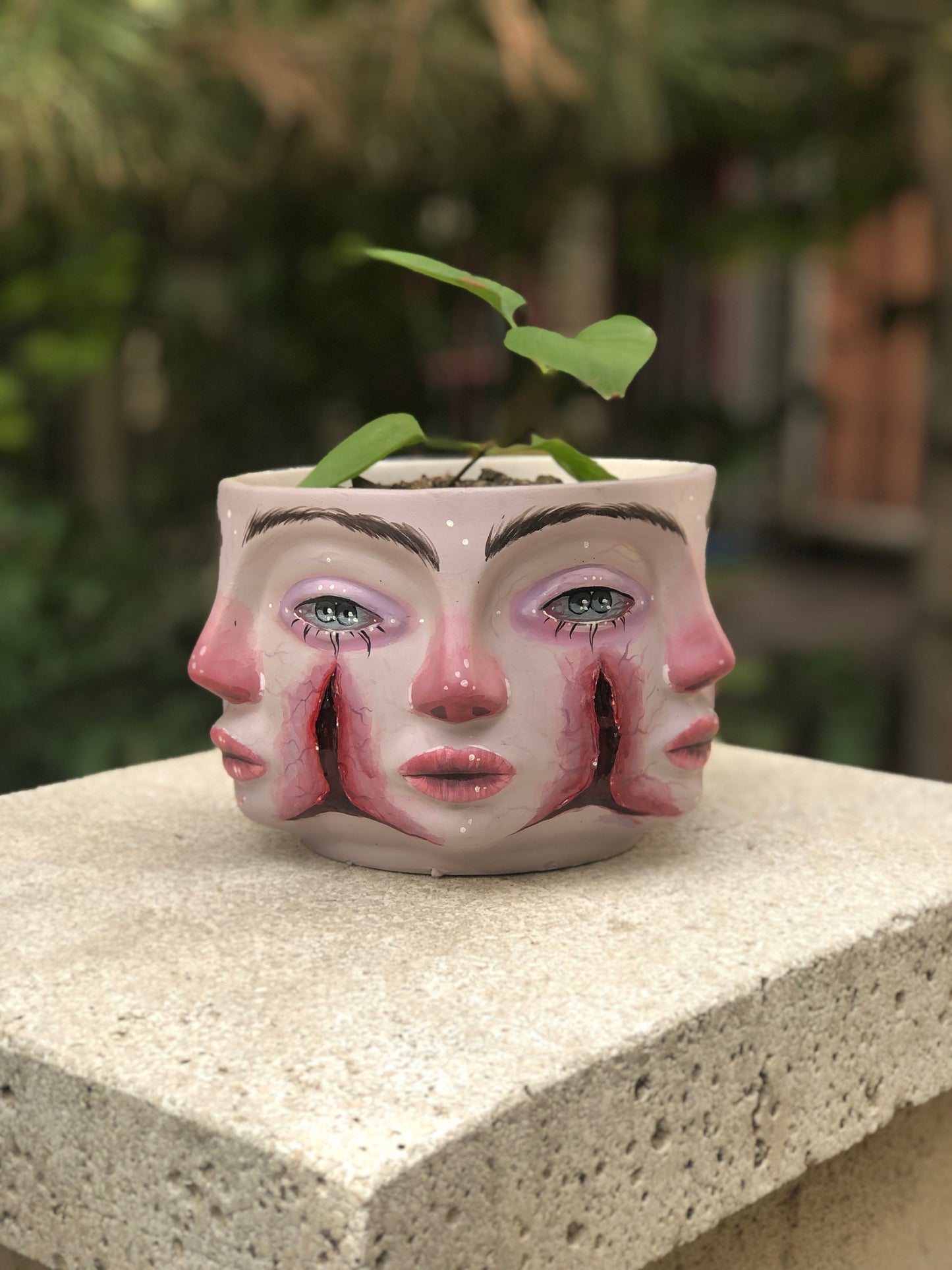 Faces 'The Separation' Pop Art Planter, Modern Plant Pot