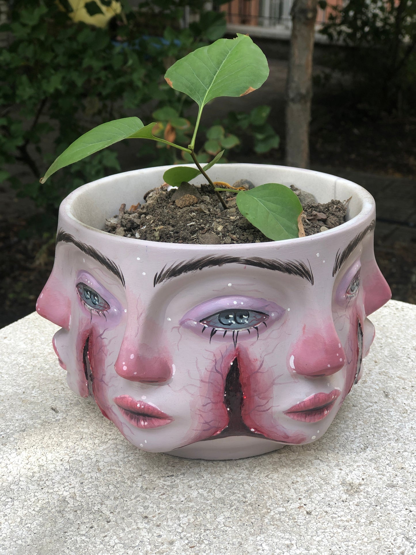 Faces 'The Separation' Pop Art Planter, Modern Plant Pot