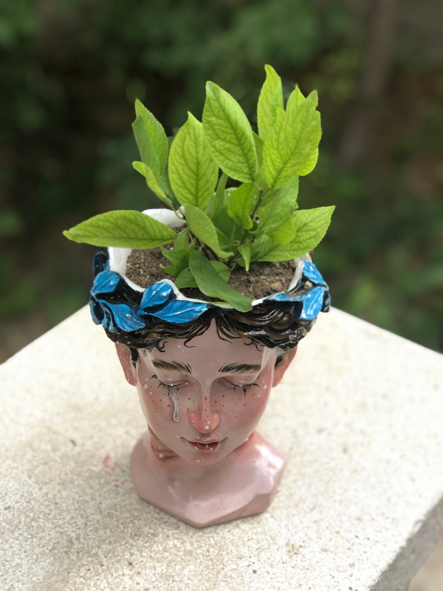 Helen 'Gills' Pop Art Planter, Modern Plant Pot